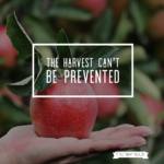 Harvest Can't Be Prevented